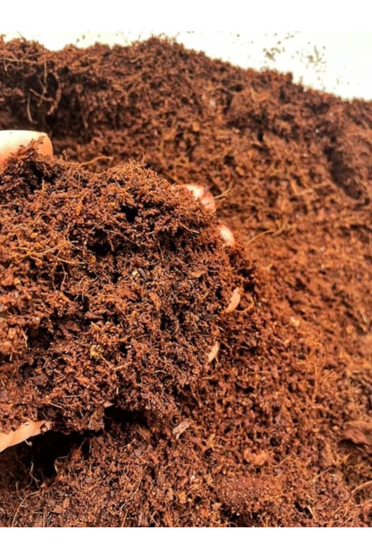 NEFA SERA Domates Cocopeat 10 Adet Torba Cocopeat Domates Kokopiti