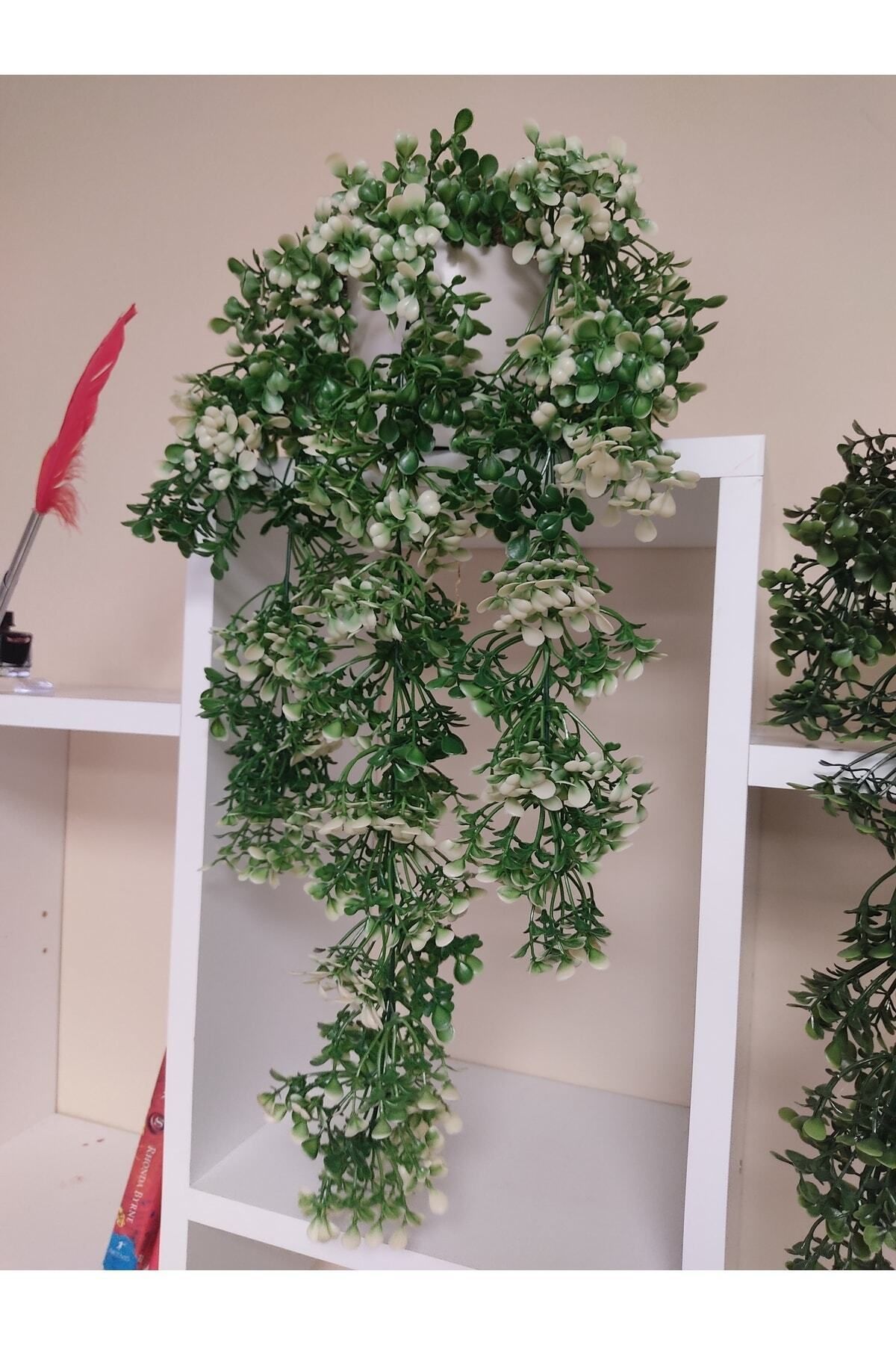 Elioure Sarkan Şimşir 55 cm Beyaz Yakut Saksı ile Zarif Dekorasyon Keyfi
