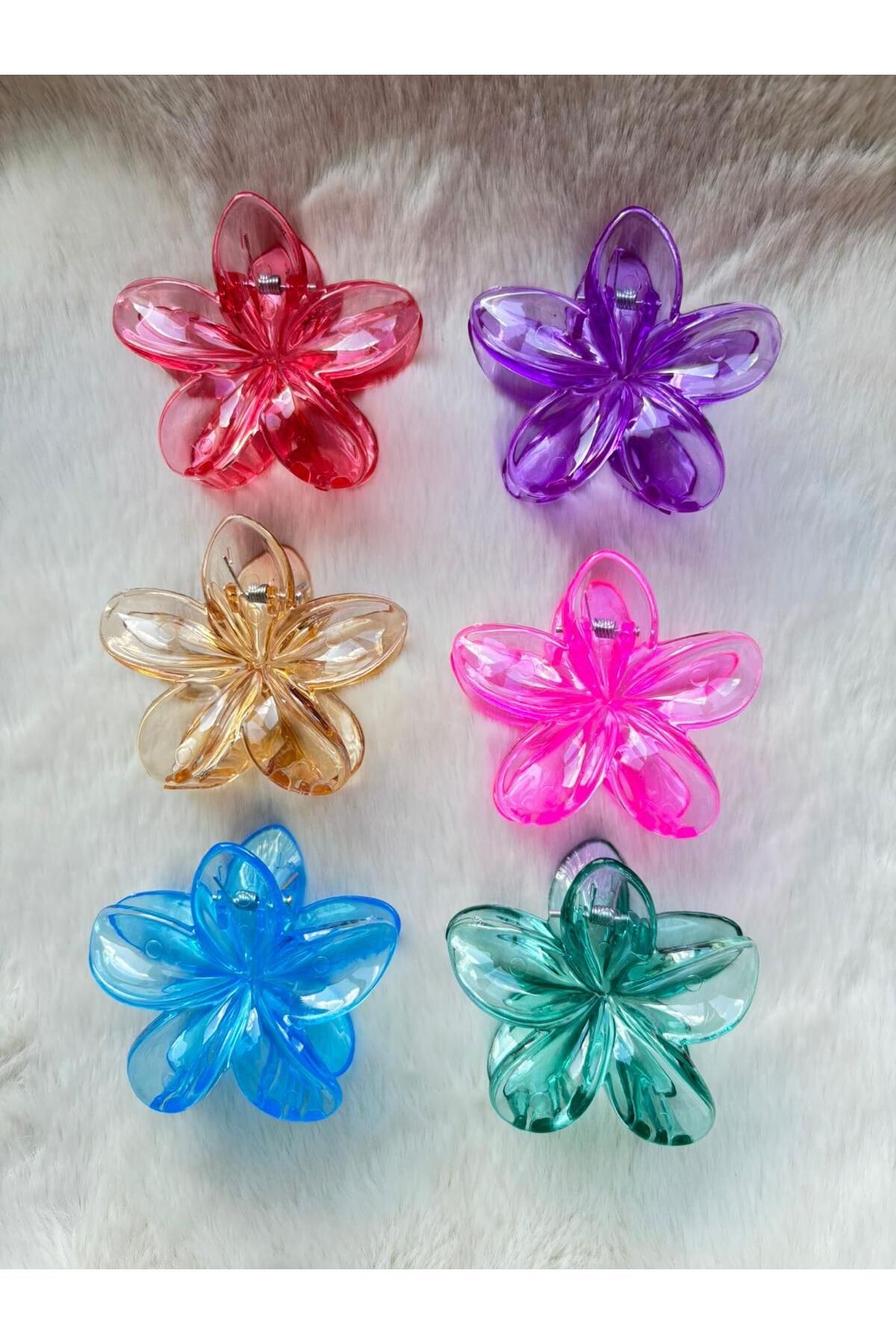 AyKoş aksesuar Kadın Büyük Boy 6'Lı (8cm) Renkli Lotus Toka Seti