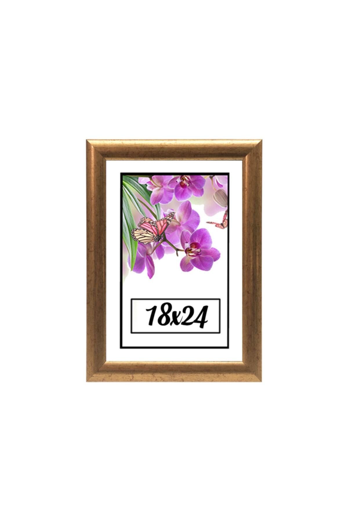 Elioure Şık 18x24 Çerçeve ile Evinize ve Ofisinize Zarif Dekorasyon Keyfi