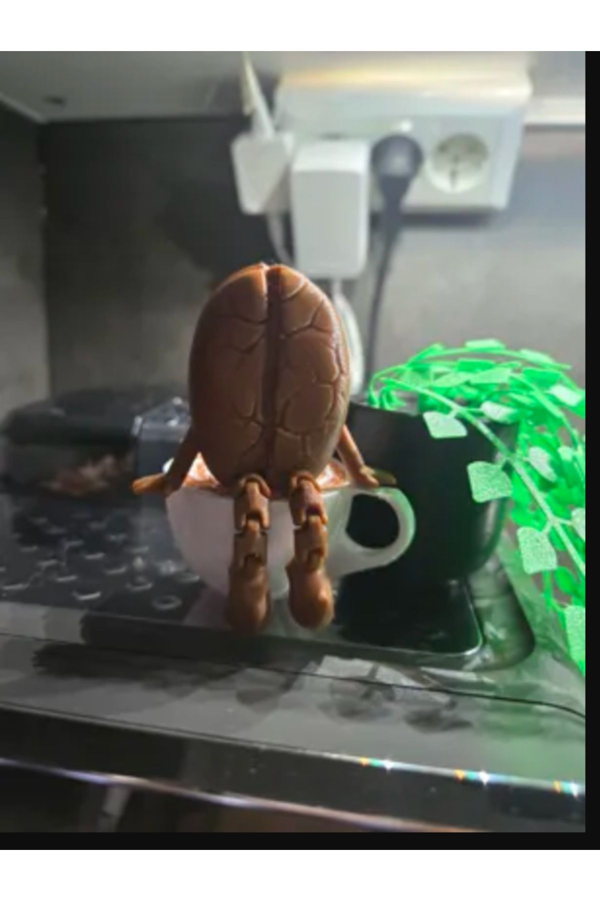 mse store Mini kahve çekirdeği
