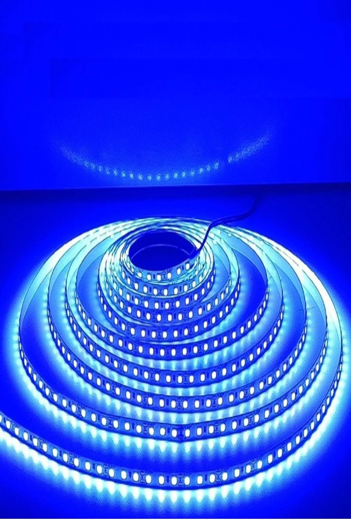 Cata 10 ÇİP İÇ MEKAN ŞERİT LED MAVİ ( 12V - 7W/MT ) 5 METRE PAKETLİ