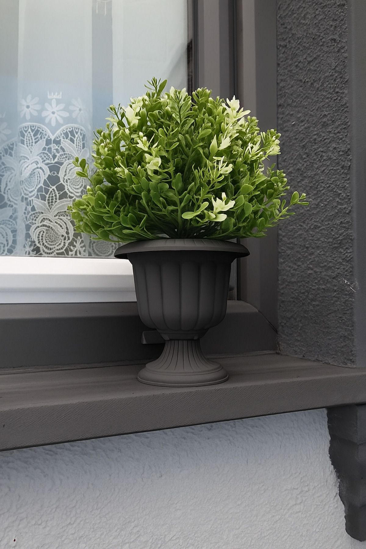 ToXA Nergis Saksı 20cm