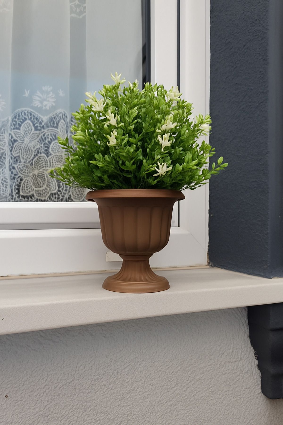 ToXA Nergis Saksı 20cm