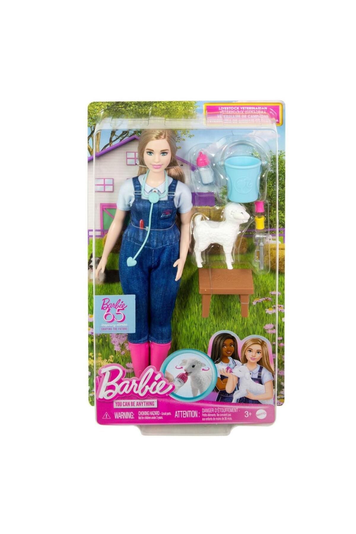 MR RZN STORE HRG42 Barbie 65. Yıl Deluxe Kariyer Bebekleri - Veteriner