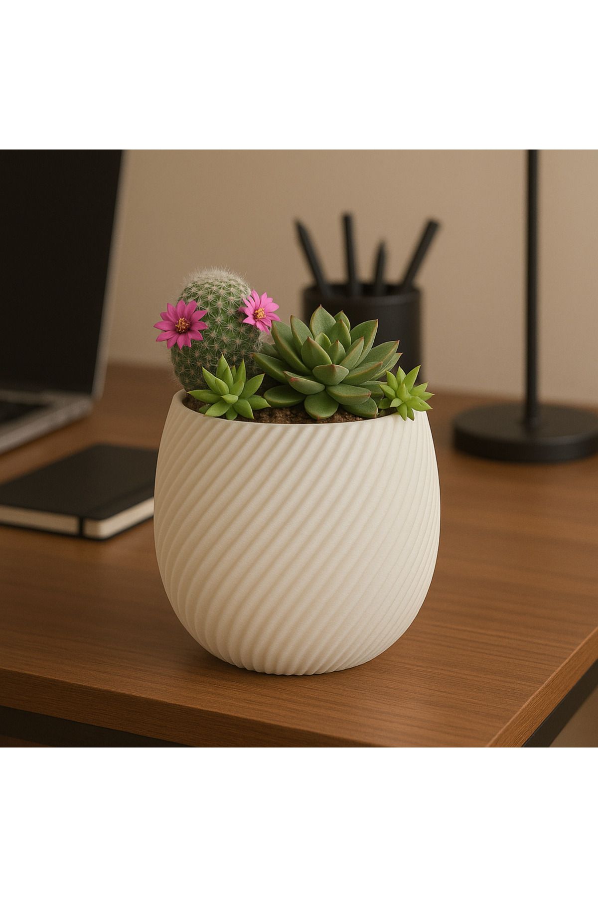 Printora Spiral Desenli Saksı – Modern Minimalist Tasarım