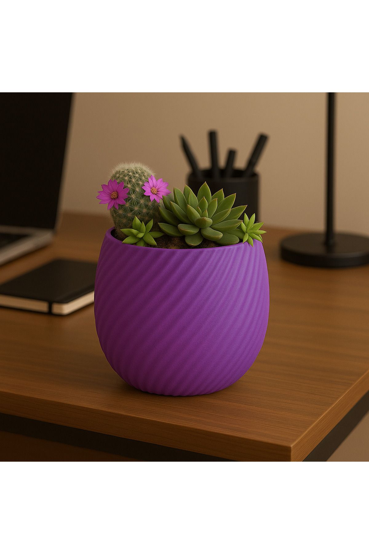Printora Spiral Desenli Saksı – Modern Minimalist Tasarım