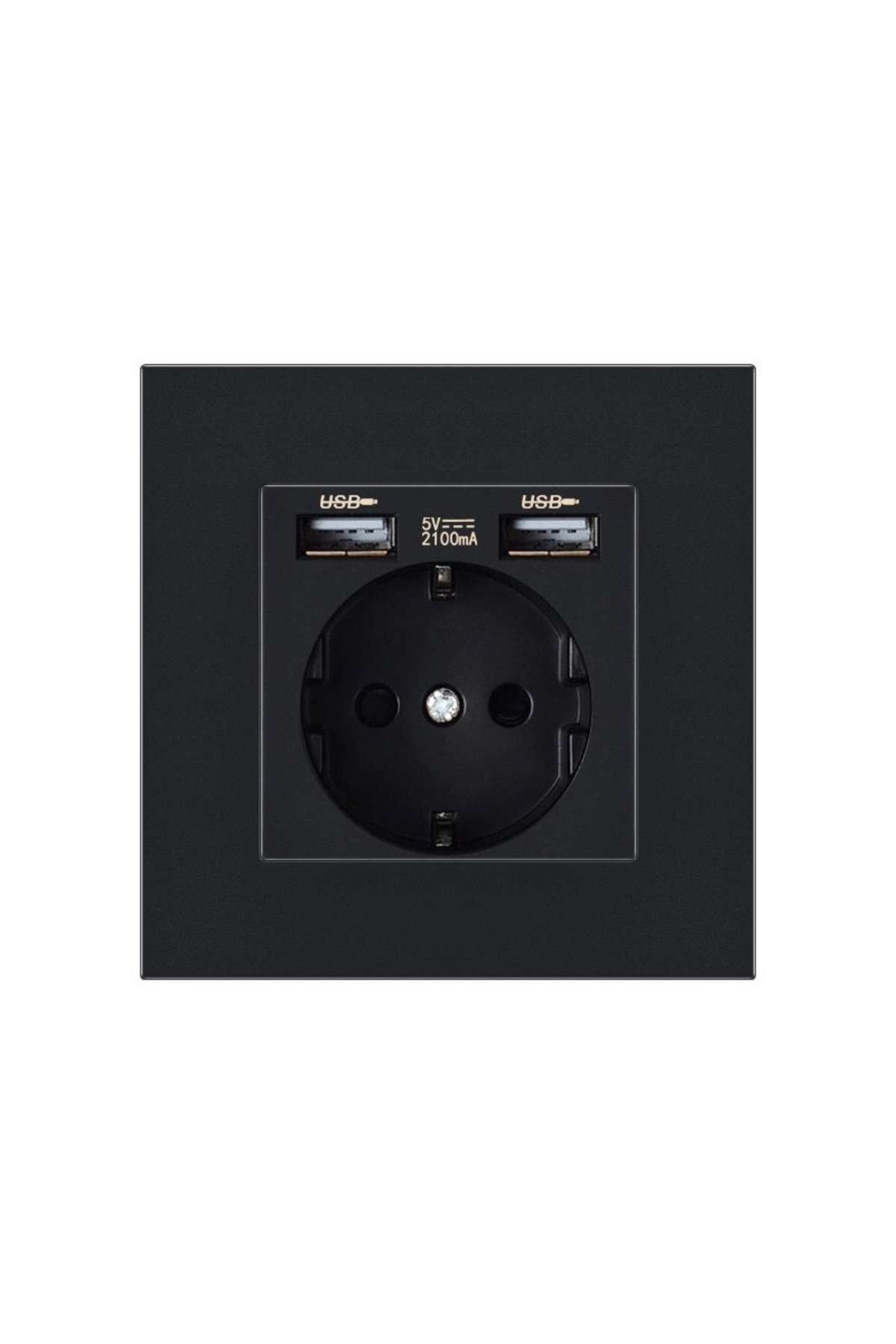 TECHSTAR-® PCU1 Socket, Single, 2 x USB, 2.1 A, Black Color, Polycarbonate, 16A 1