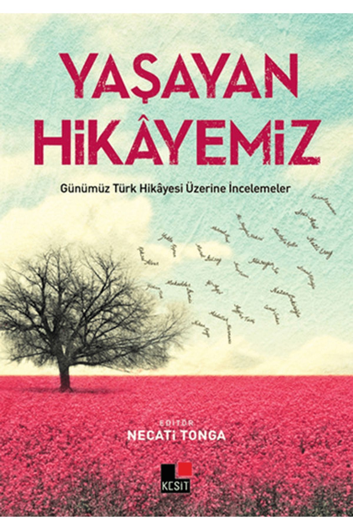 Kesit Yayınları Yaşayan Hikayemiz