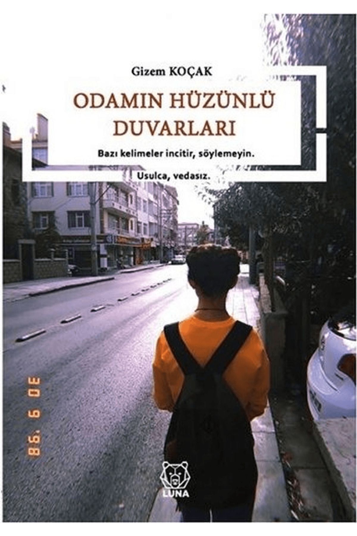 Luna Yayınları Odamın Hüzünlü Duvarları