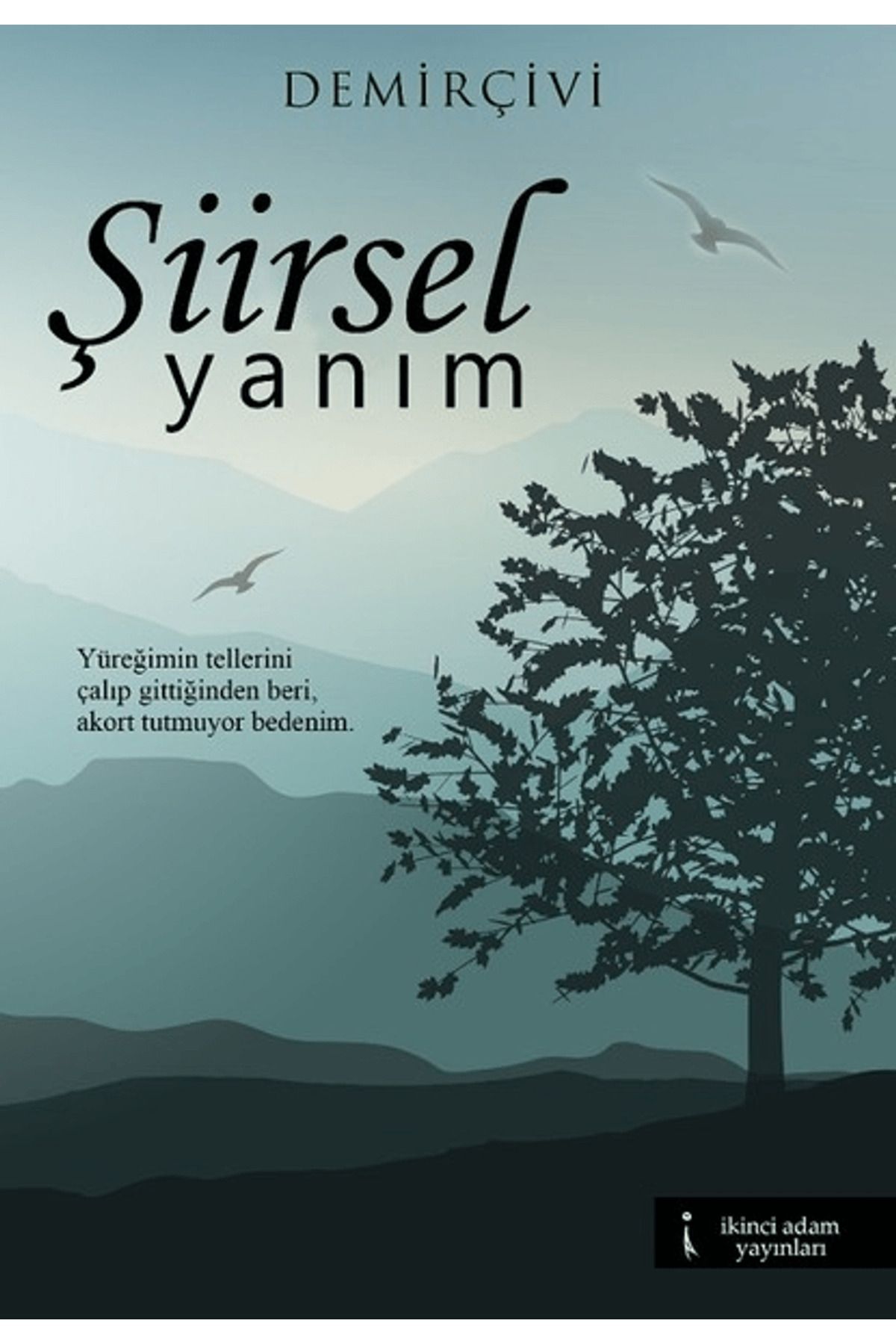 İkinci Adam Yayınları Şiirsel Yanım