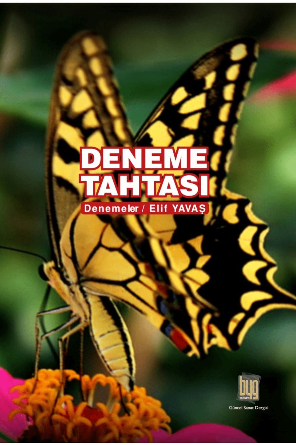 Baygenç Yayıncılık Deneme Tahtası