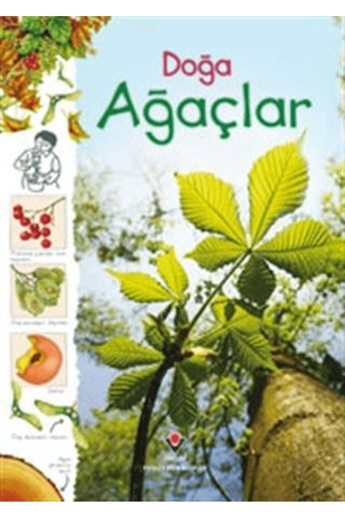Tübitak Yayınları Doğa - Ağaçlar