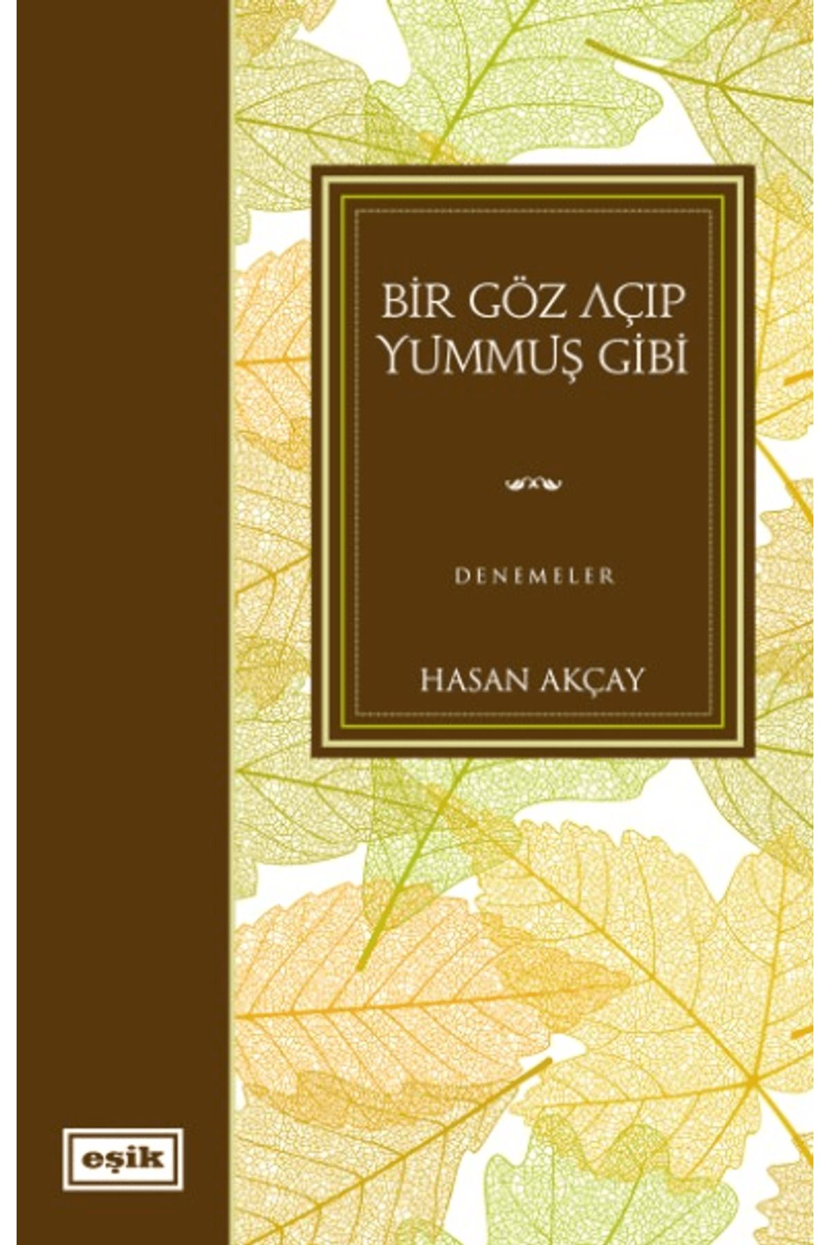 Eşik Yayınları Bir Göz Açıp Yummuş Gibi