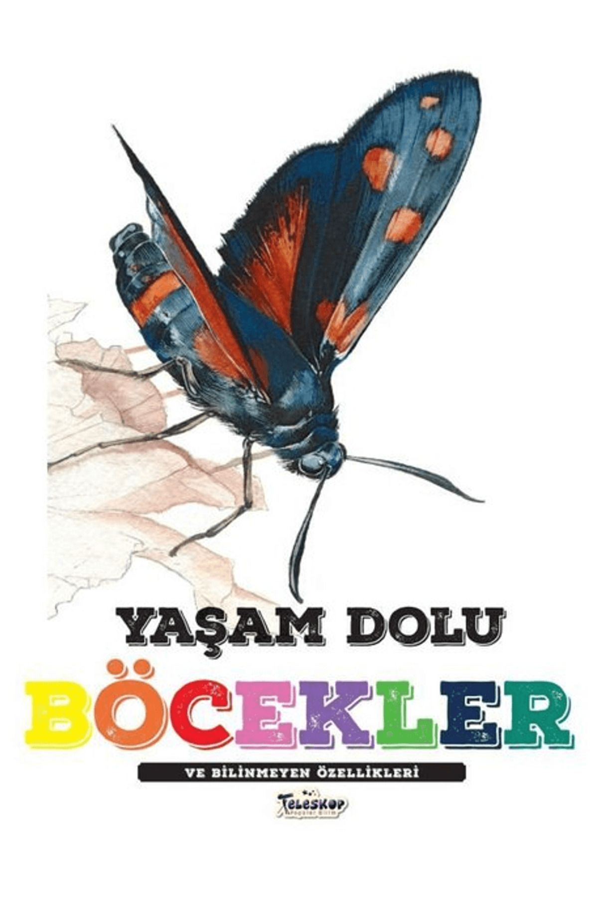 Teleskop Popüler Bilim Yaşam Dolu Böcekler ve Bilinmeyen Özellikleri