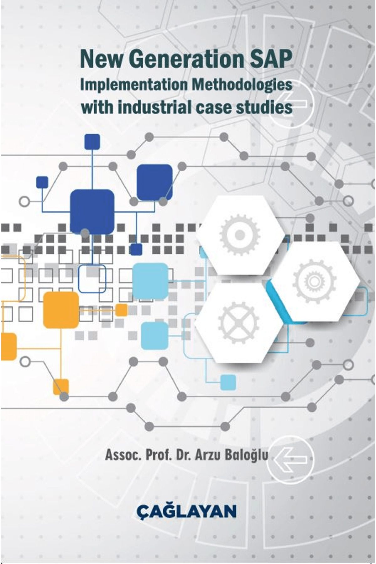 Çağlayan Kitabevi New Generation SAP Implementation Methodologies With Industrial Case Studies