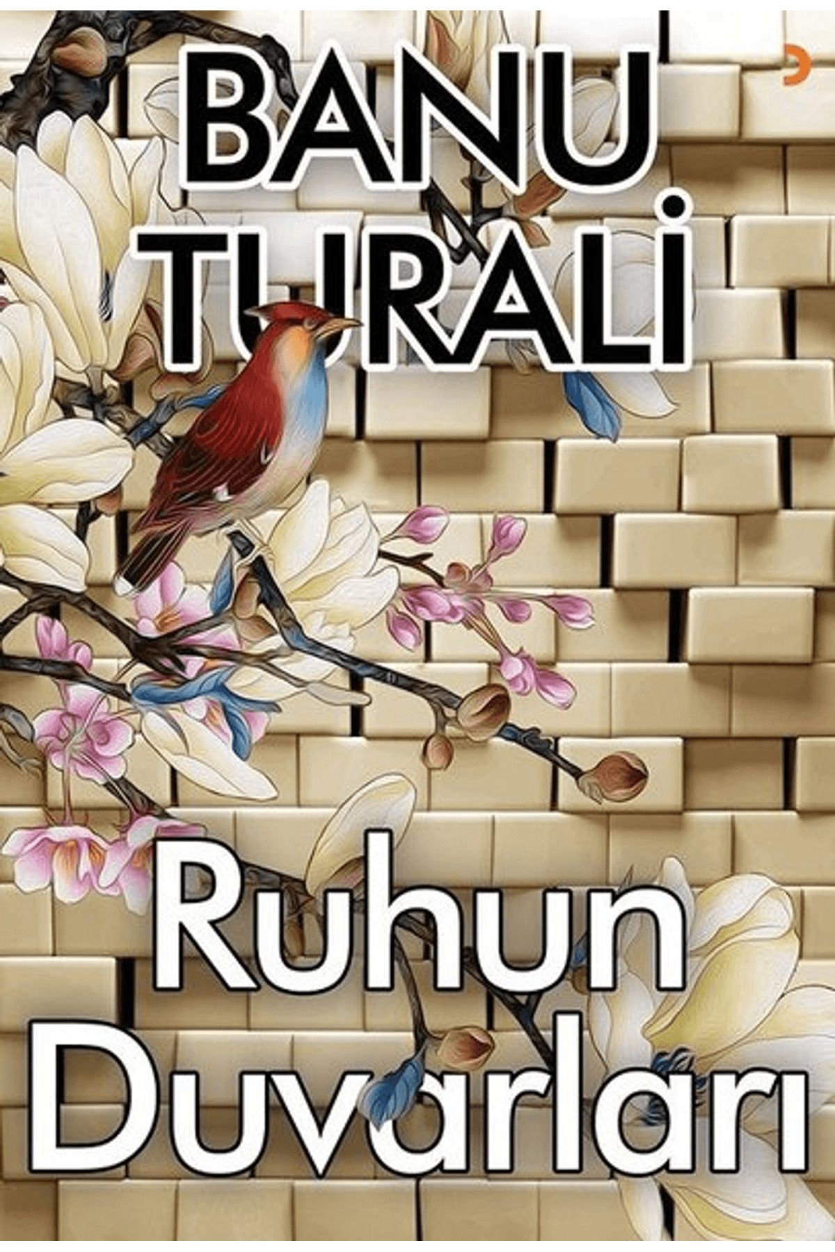 Cinius Yayınları Ruhun Duvarları