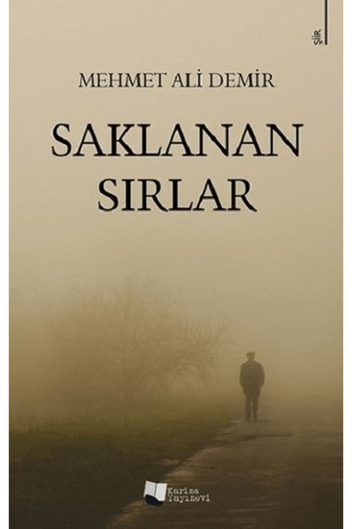 Karina Yayınevi Saklanan Sırlar