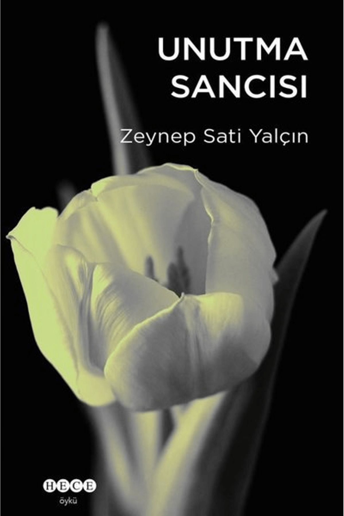 Hece Yayınları Unutma Sancısı
