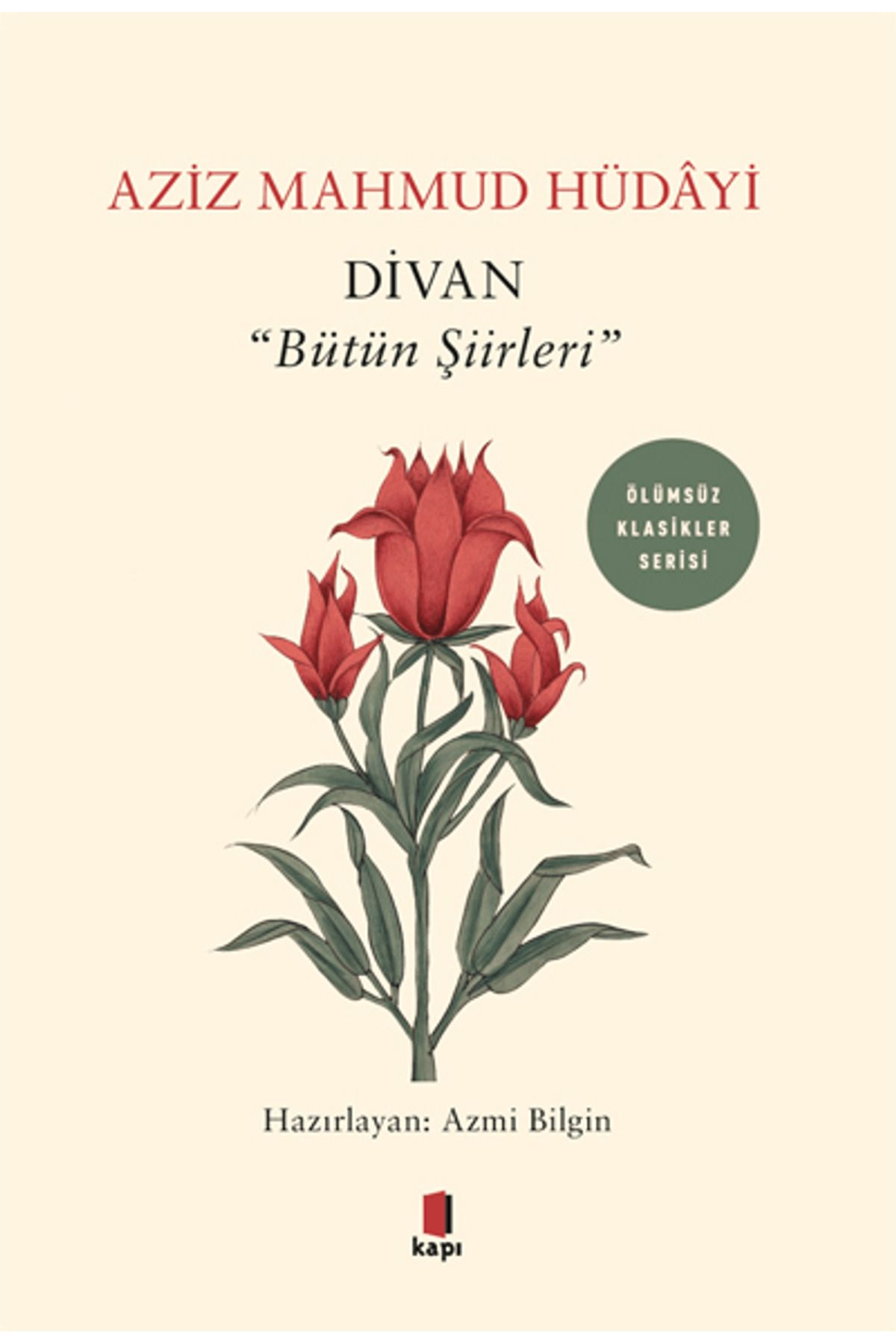 Kapı Yayınları Divan - "Bütün Şiirleri"