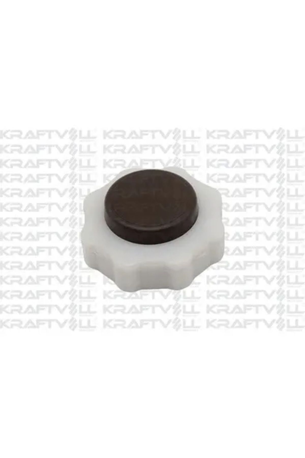 BRAXIS RADYATOR EK DEPO KAPAGI (KAHVERENGI) CLIO-KANGOO-LAGUNA-MEGANE