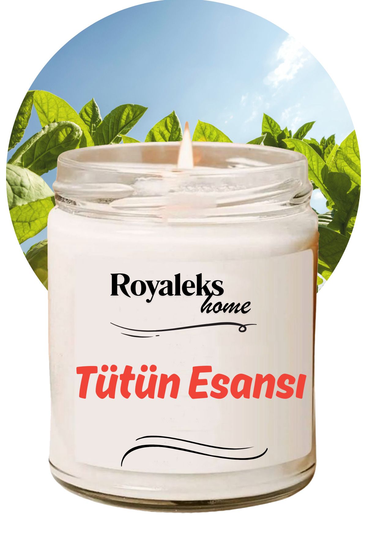 Meleners Doğal Özel Seri Kokulu Dekoratif Kavanoz Mum 210 cc - Tütün Esansı - RYL