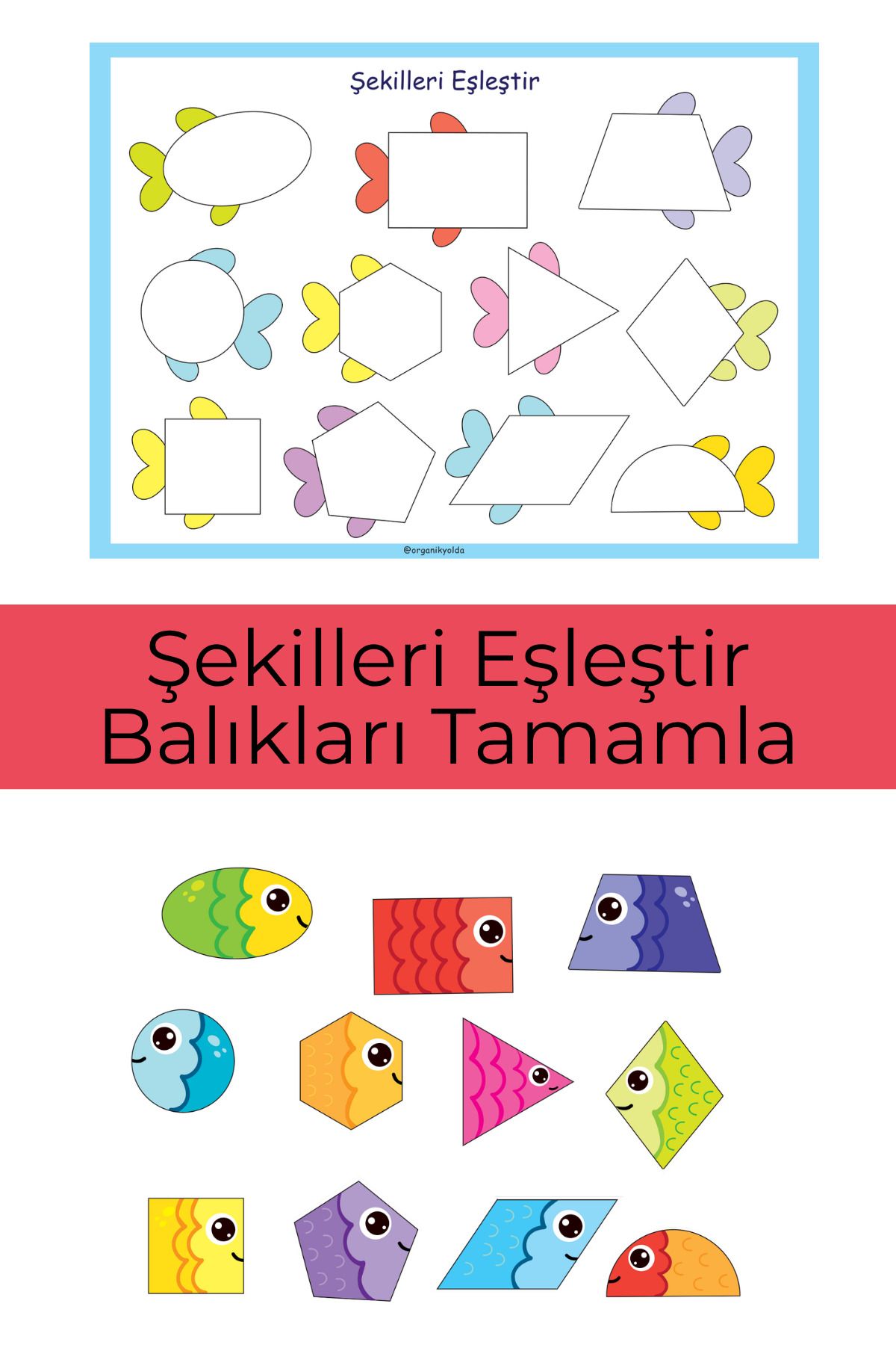 Organik Yolda Şekilleri Kes, Eşleştir ve Balığı Tamamla.