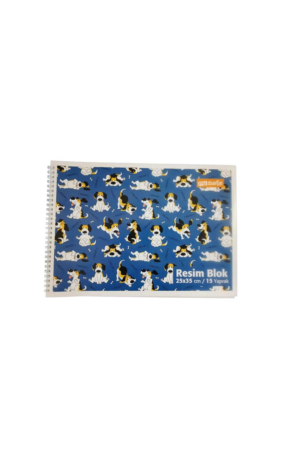 Mynote 25x35 SPİRALLİ KARTON KAPAK 15 YAPRAK RESİM DEFTERİ MAVİ