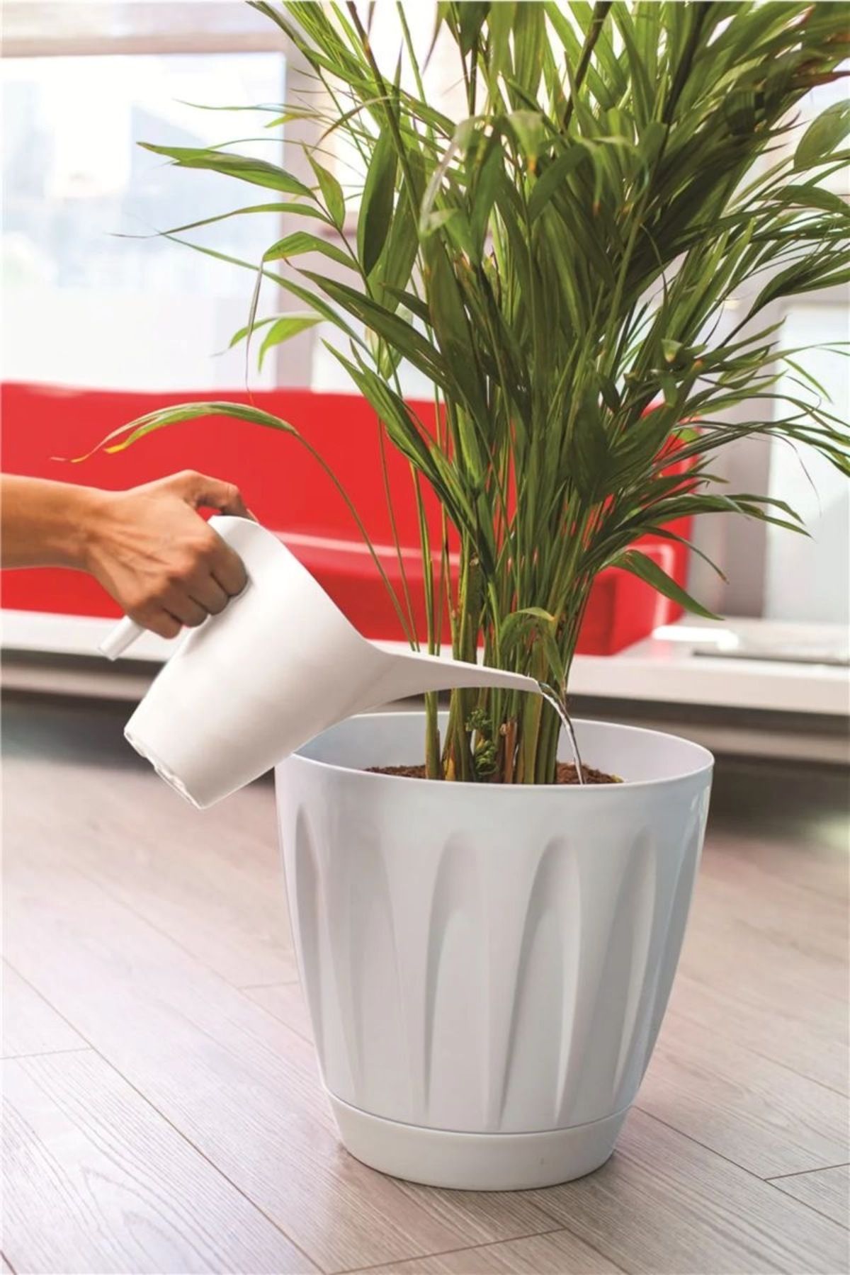 HÜSKON TİCARET 1 Litre Çiçek Sulama Kabı Kaliteli Plastik Kaktüs Orkide ve Çiçek Sulama Kabı