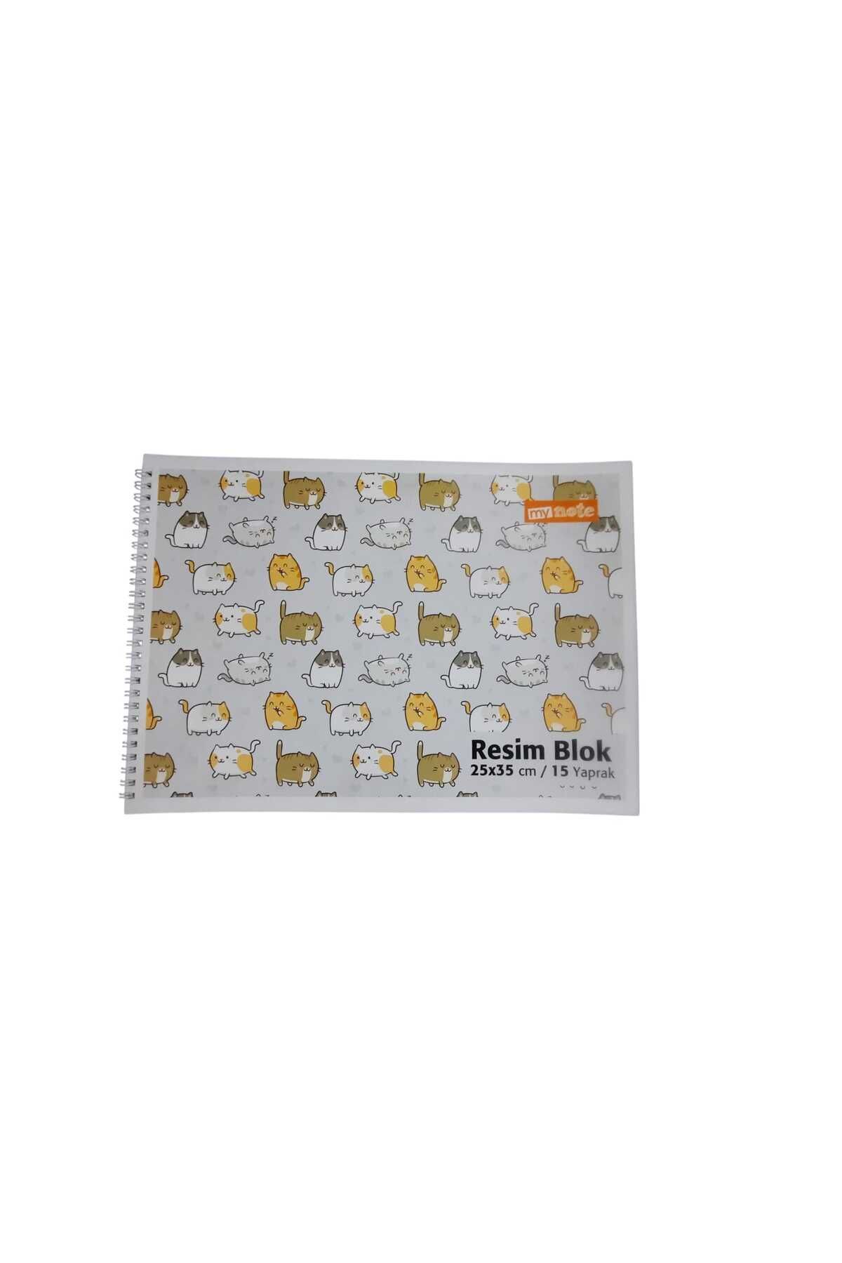 Mynote 25x35 SPİRALLİ KARTON KAPAK 15 YAPRAK RESİM DEFTERİ BEYAZ