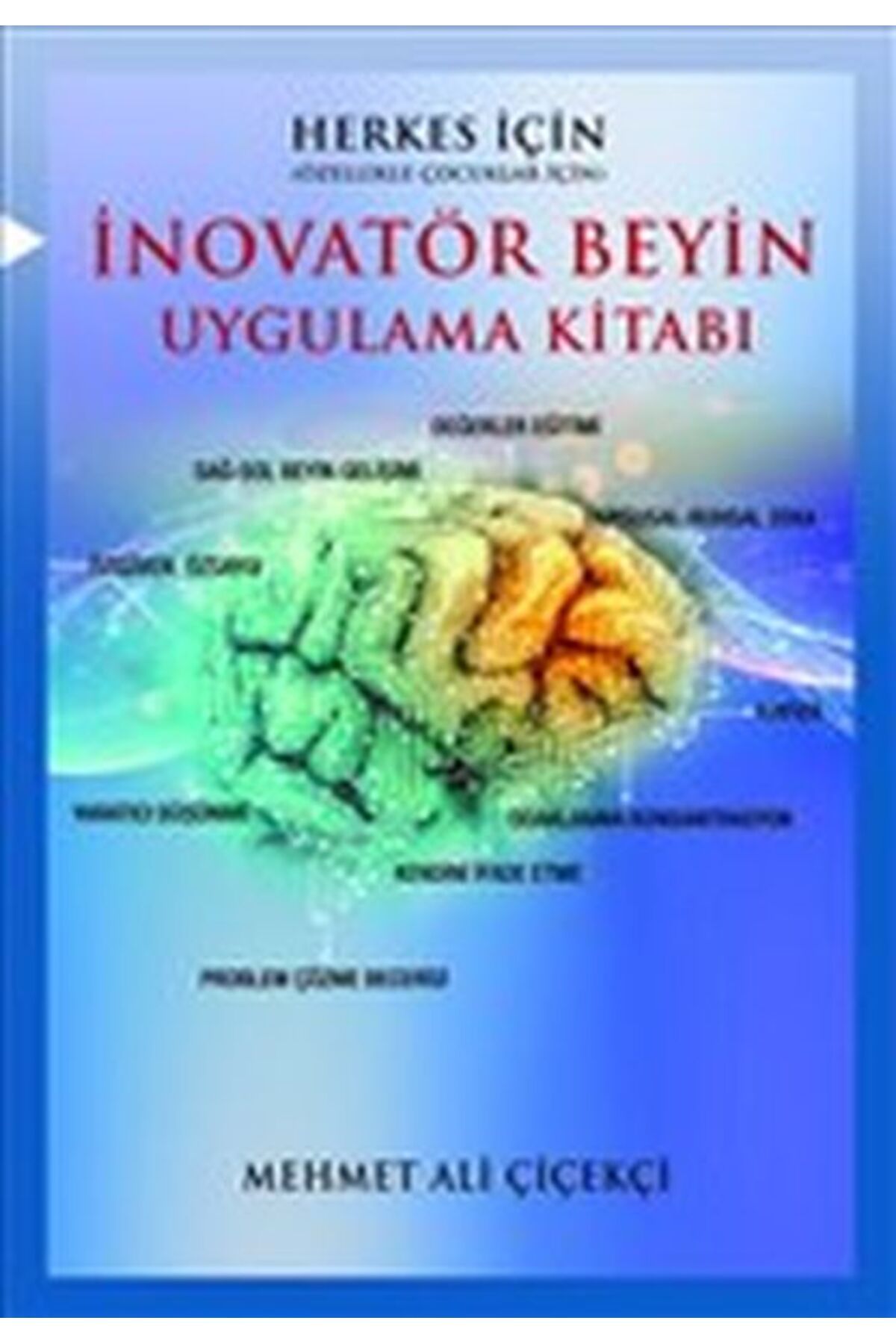 Kırmızı Karınca Yayınları İnovatör Beyin Uygulama Kitabı