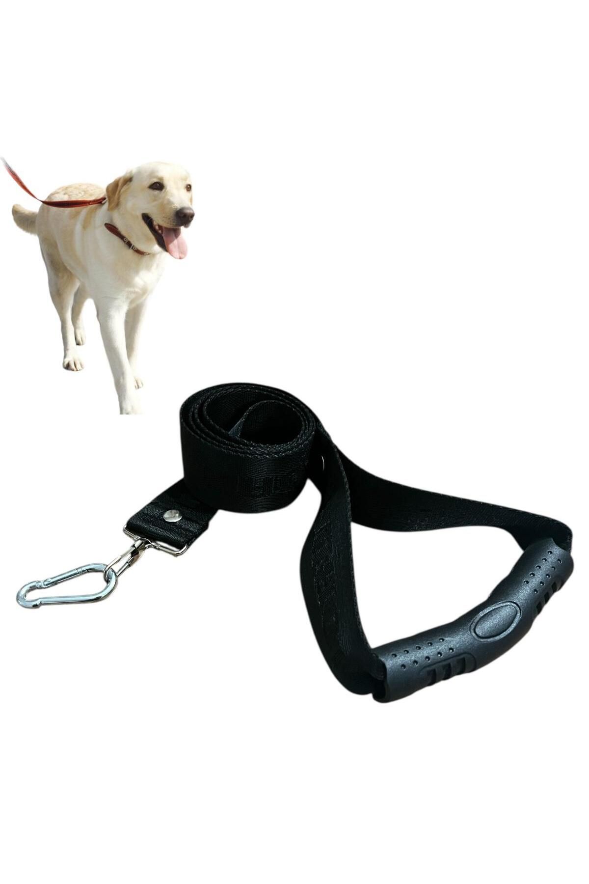 REMEGE 120x4 Cm Kedi, Köpek Sevk ve Gezdirme Kayışı Tutamaçlı Kedi ve Köpek Sevk ve Gezdirme Kemeri