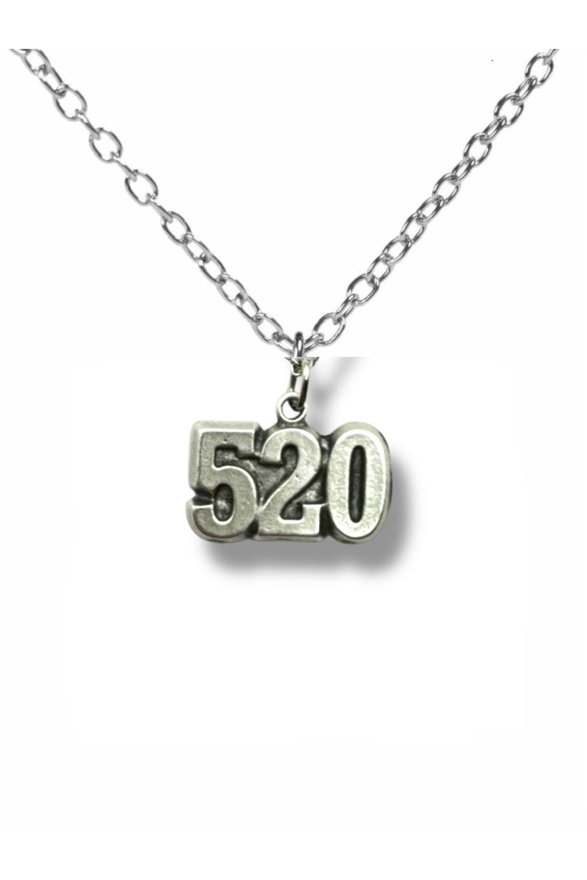 Herşey Nota 520 Numeroloji Bereket Unisex Kolye – 60 cm Zincirli, Anlamlı Tasarım