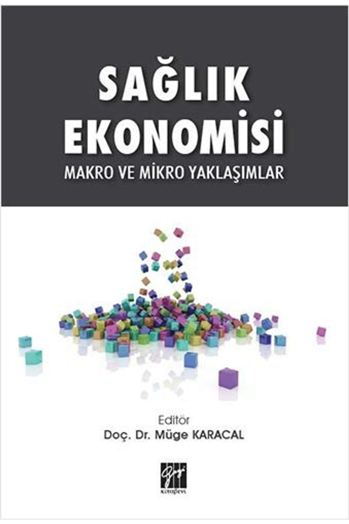 Gazi Kitabevi Sağlık Ekonomisi