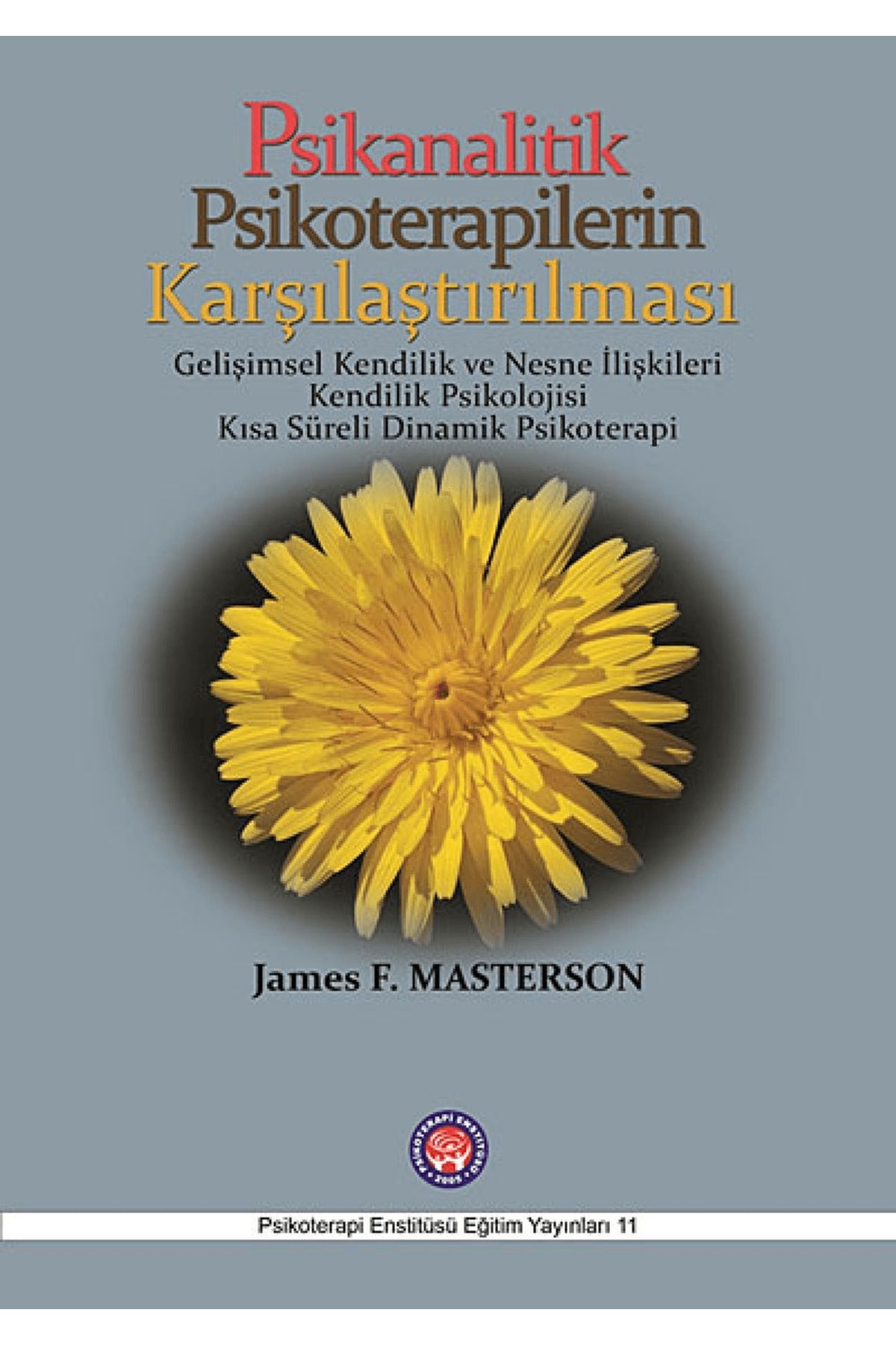 Psikoterapi Enstitüsü Psikanalitik Psikoterapilerin Karşılaştırılması