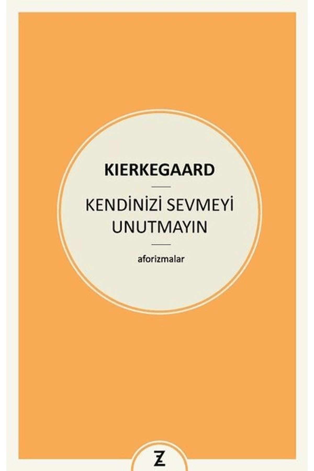Zeplin Kitap Kendinizi Sevmeyi Unutmayın