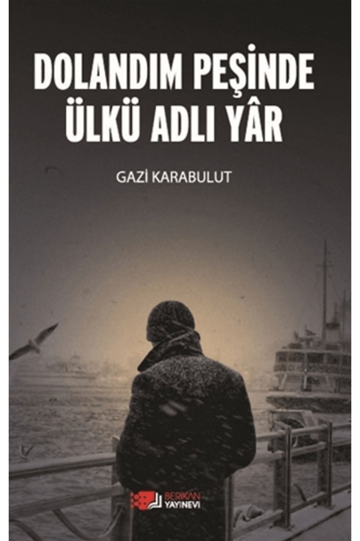 Berikan Yayınevi Dolandım Peşinde Ülkü Adlı Yar