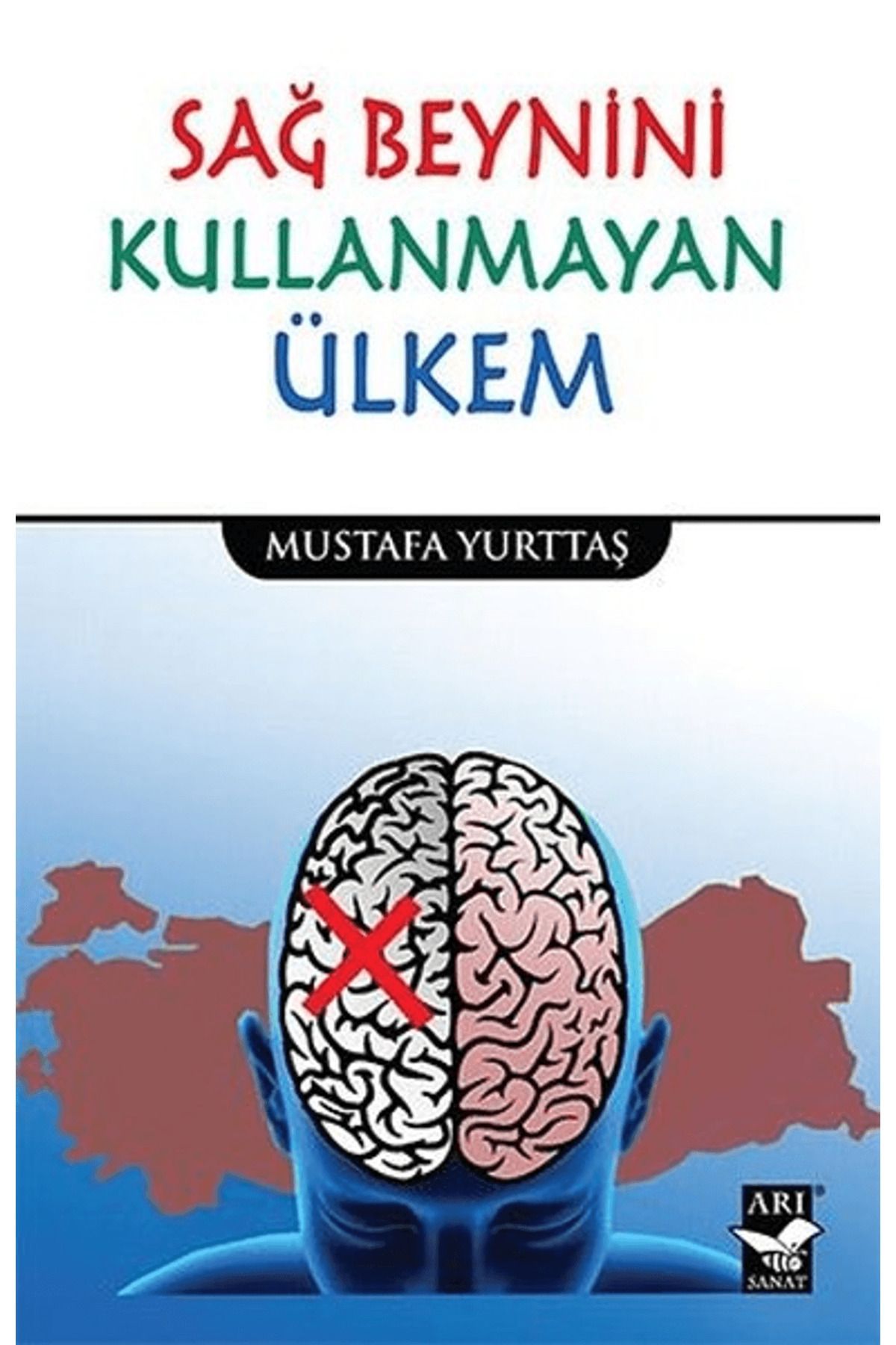 Arı Sanat Yayınevi Sağ Beynini Kullanmayan Ülkem
