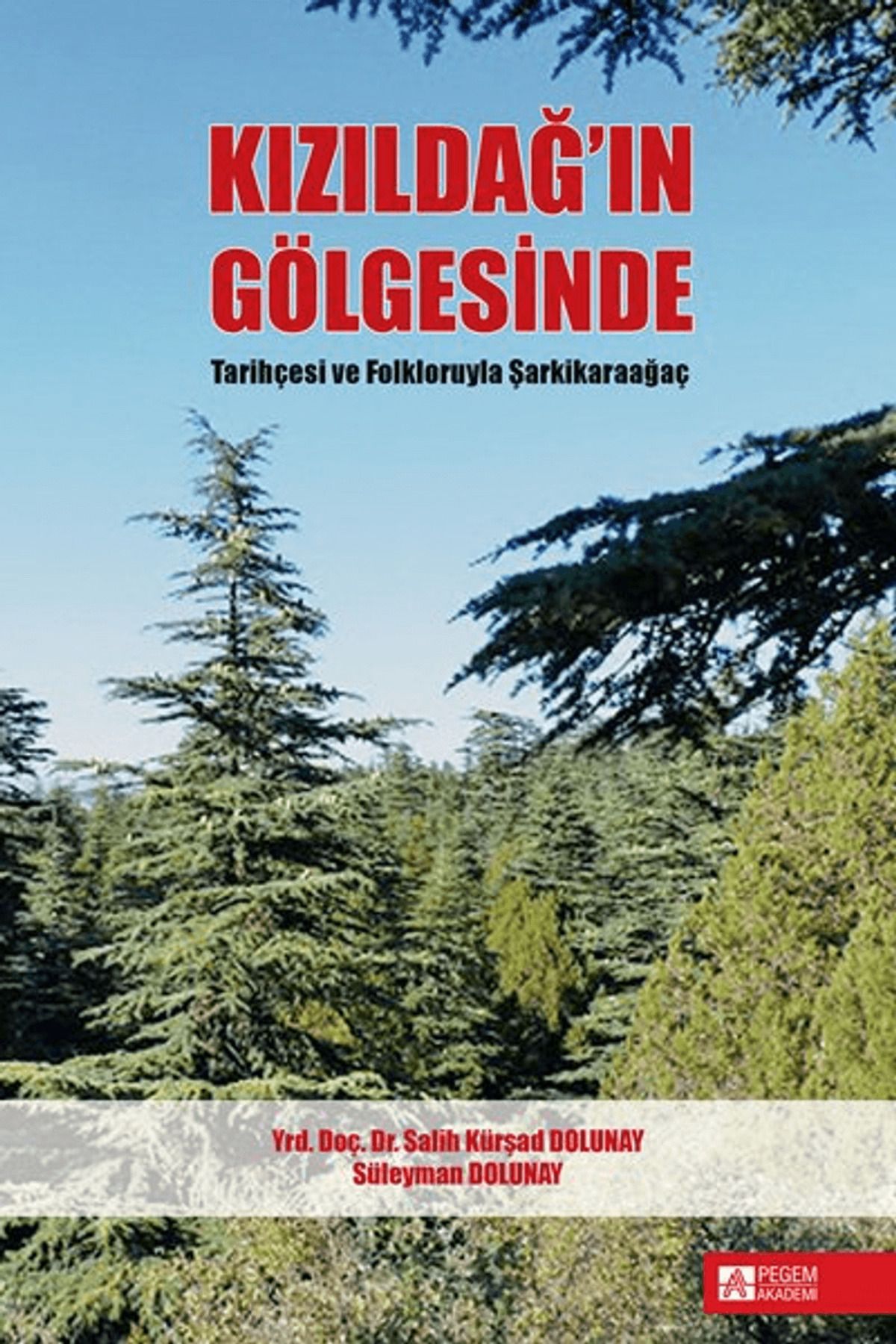 Pegem Akademi Yayıncılık Kızıldağ'ın Gölgesinde