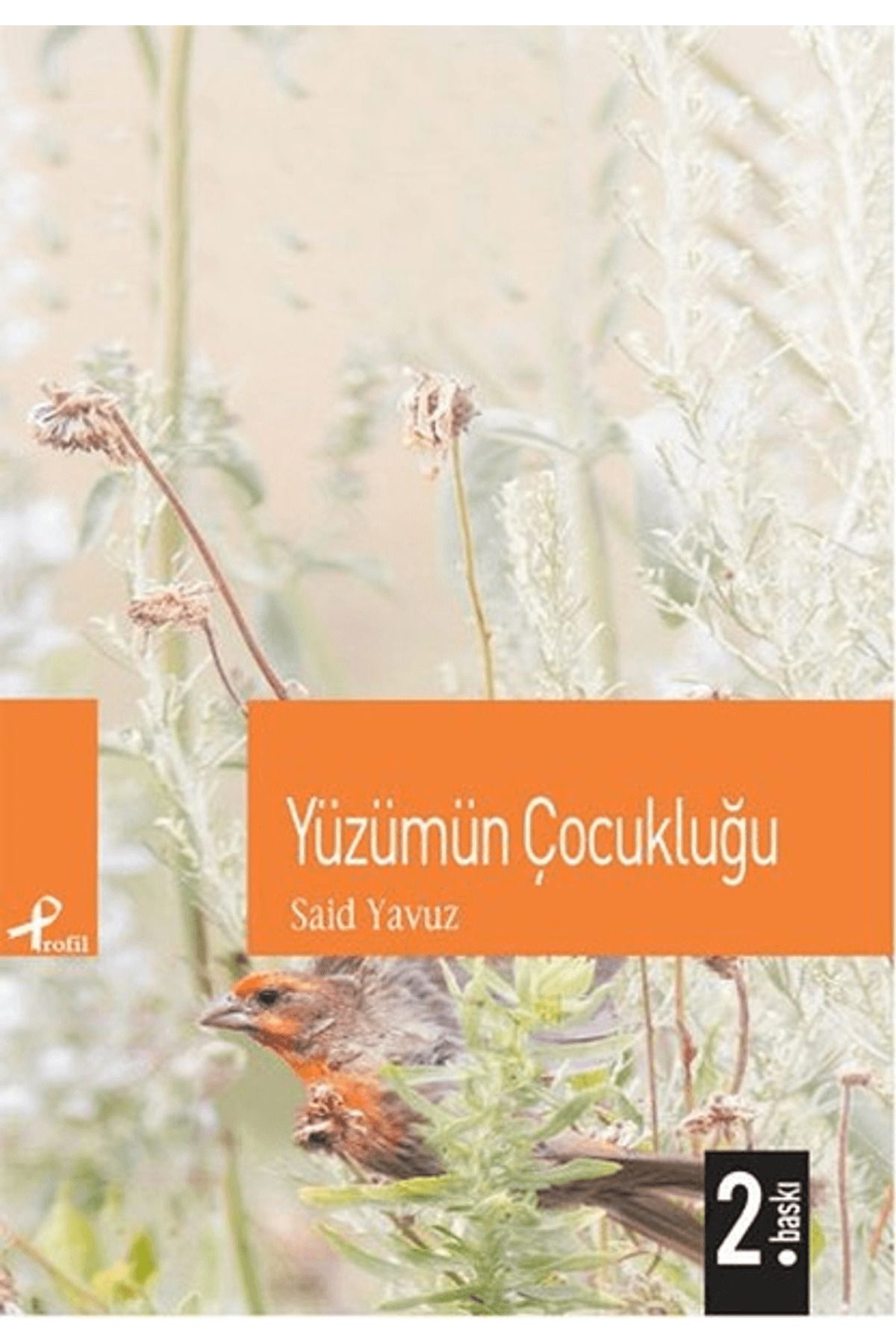 Profil Kitap Yüzümün Çocukluğu