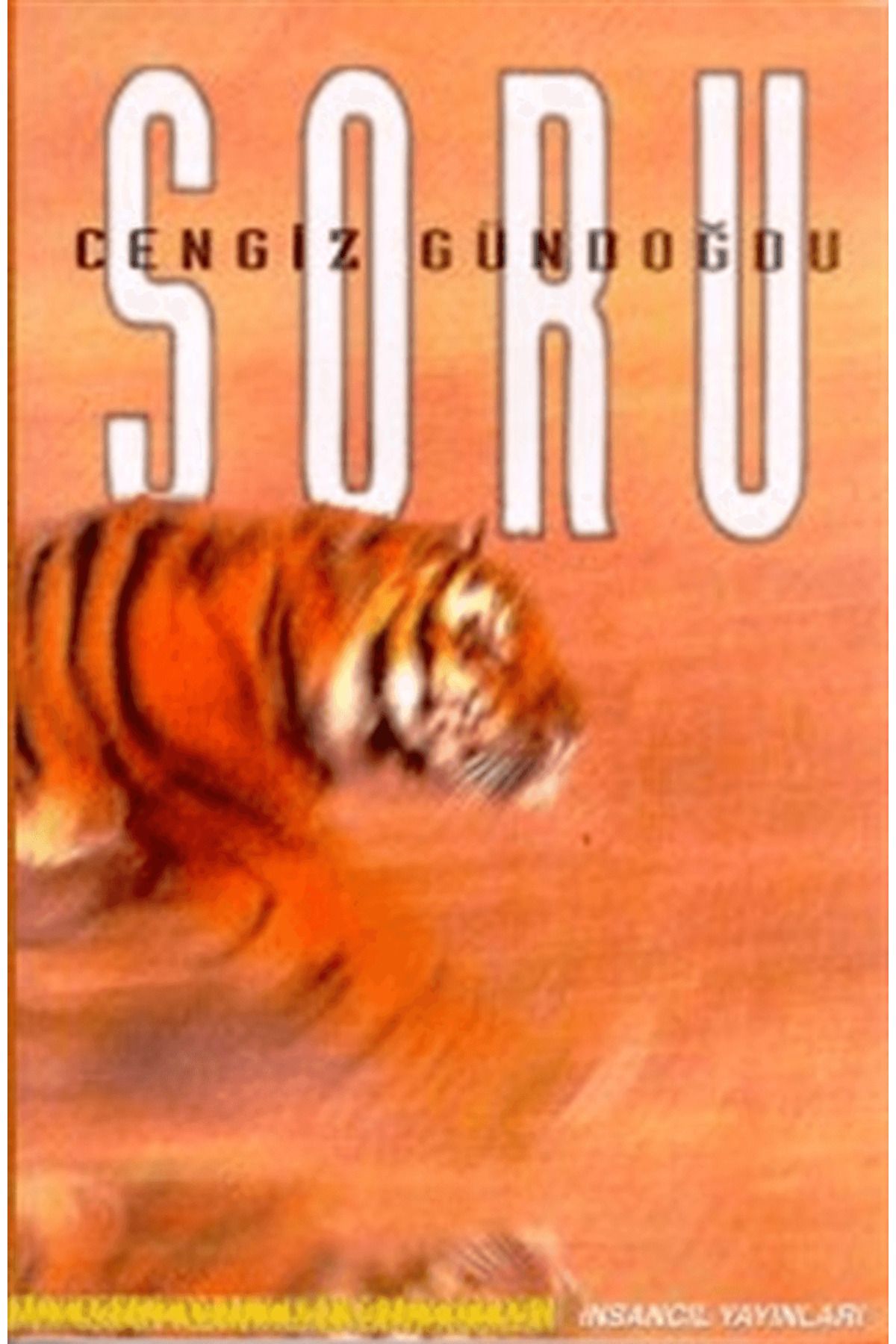 İnsancıl Yayınları Soru
