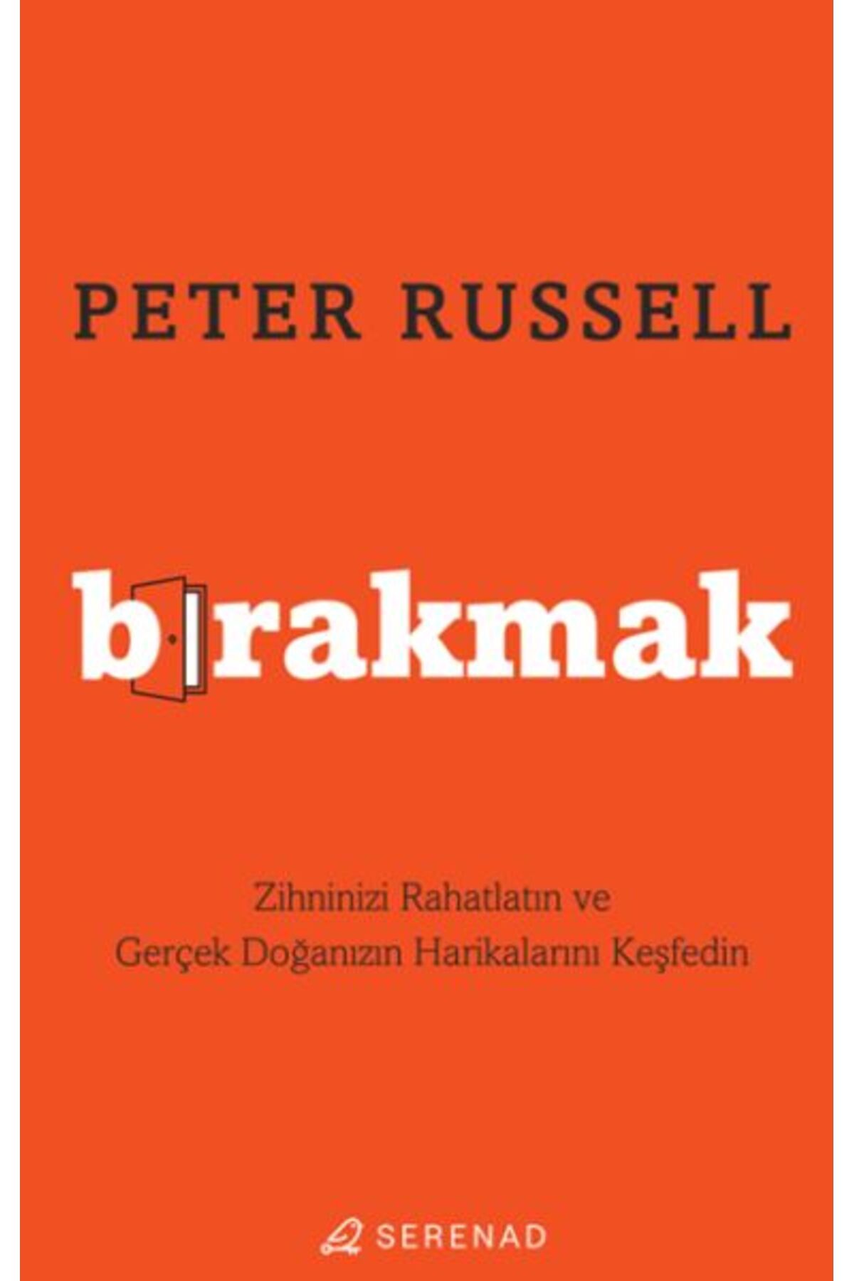 Sentez Yayınları Bırakmak