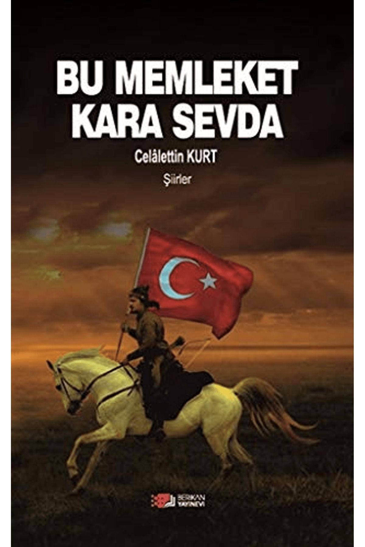 Berikan Yayınevi Bu Memleket Kara Sevda