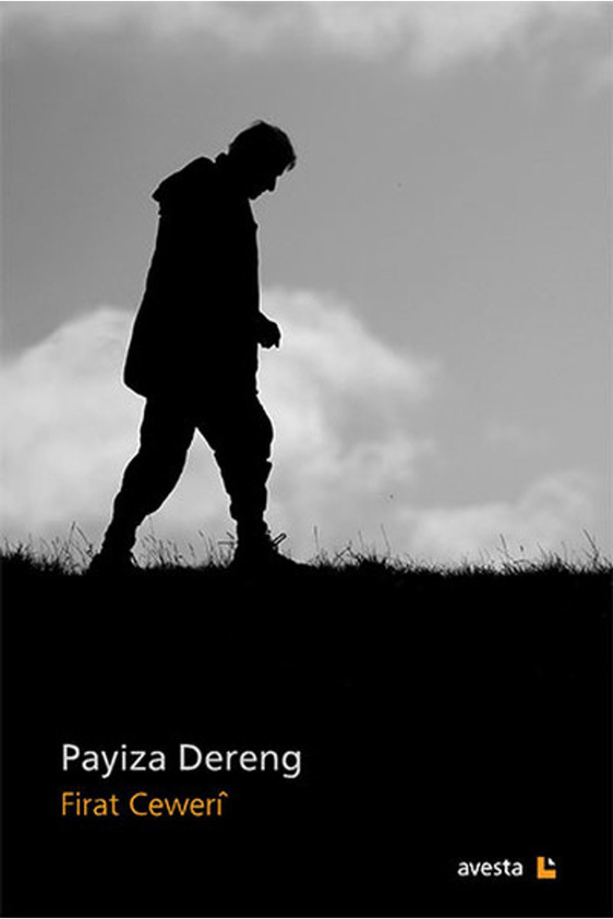 Avesta Yayınları Payiza Dereng