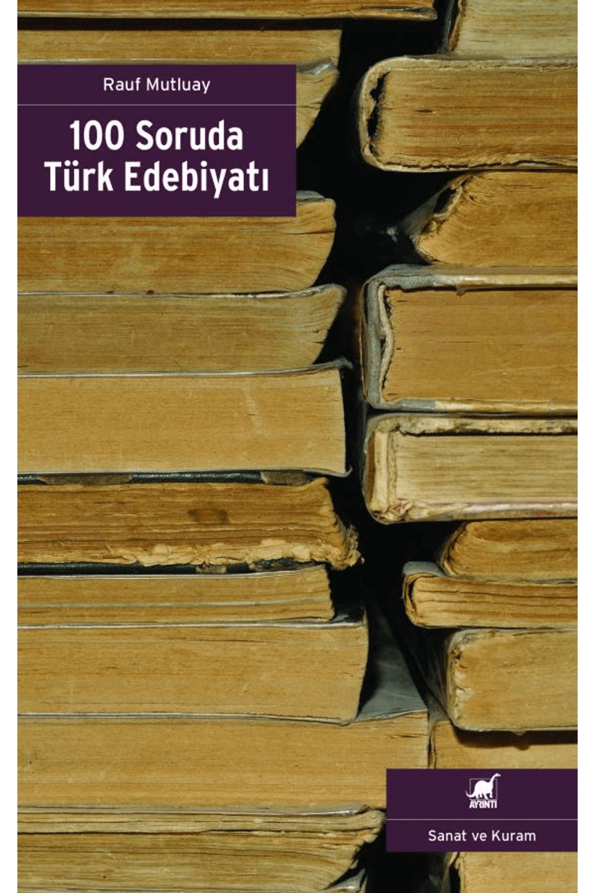 Ayrıntı Yayınları 100 Soruda Türk Edebiyatı