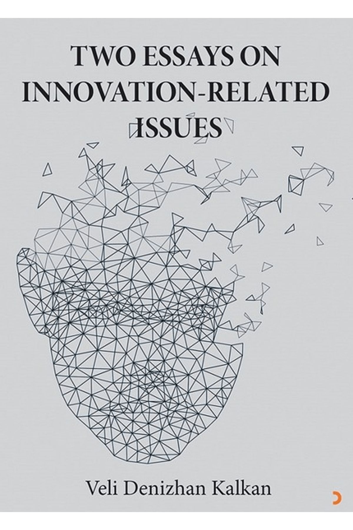 Cinius Yayınları Two Essays on İnnovation-Related Issues