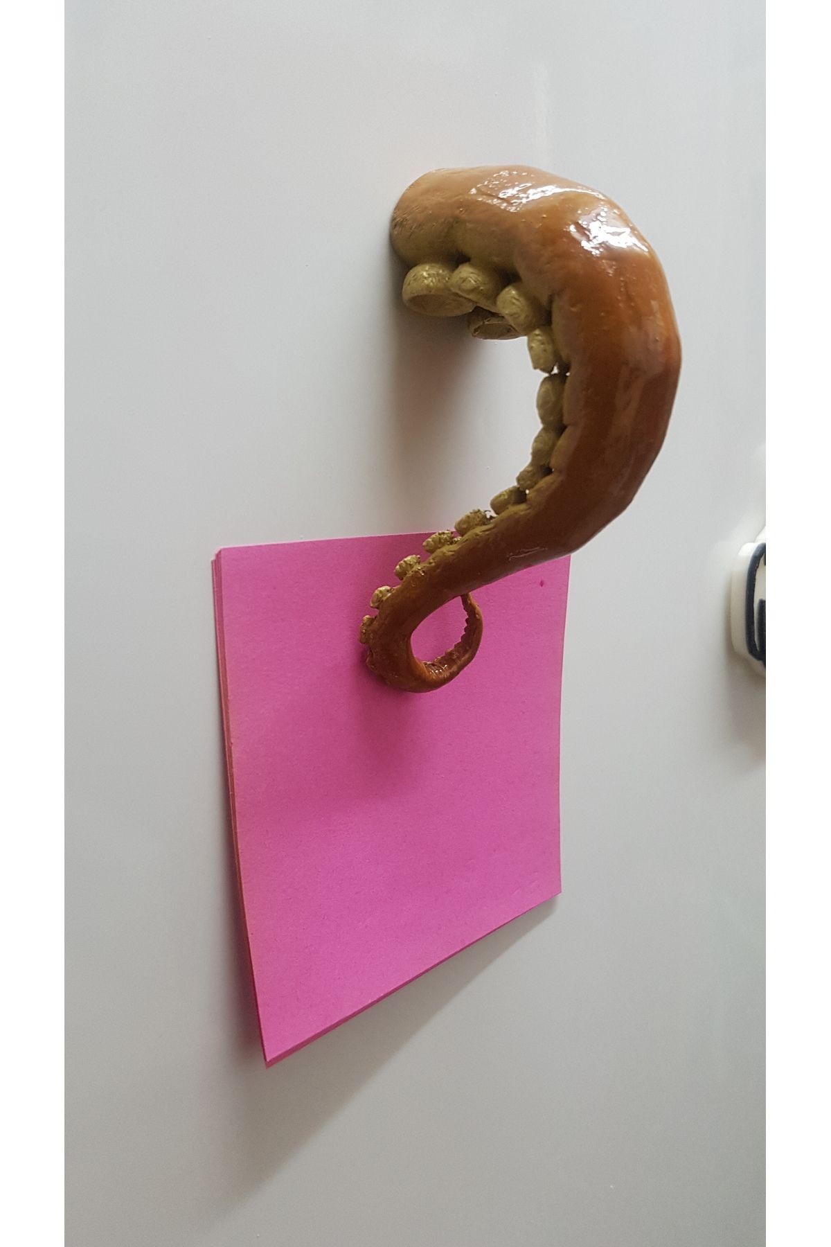 talaşoğlu Tentacle Buzdolabı Mıknatısı (2 Adet)