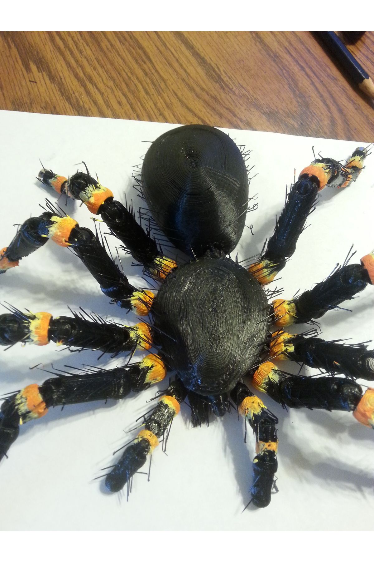 talaşoğlu Tüylü Tarantula (Buzdolabı Mıknatıs) (2 Adet)