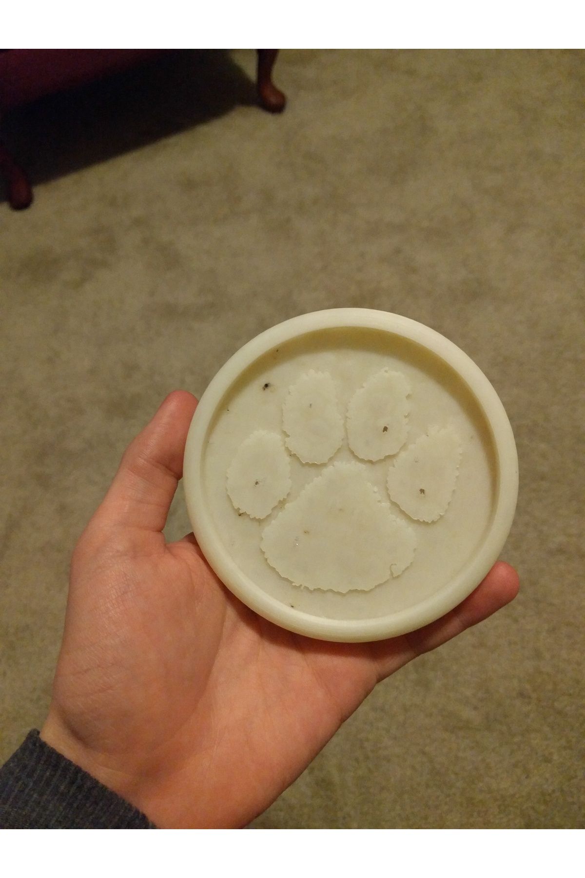 Vision Craft Clemson Coaster (3 Adet)
