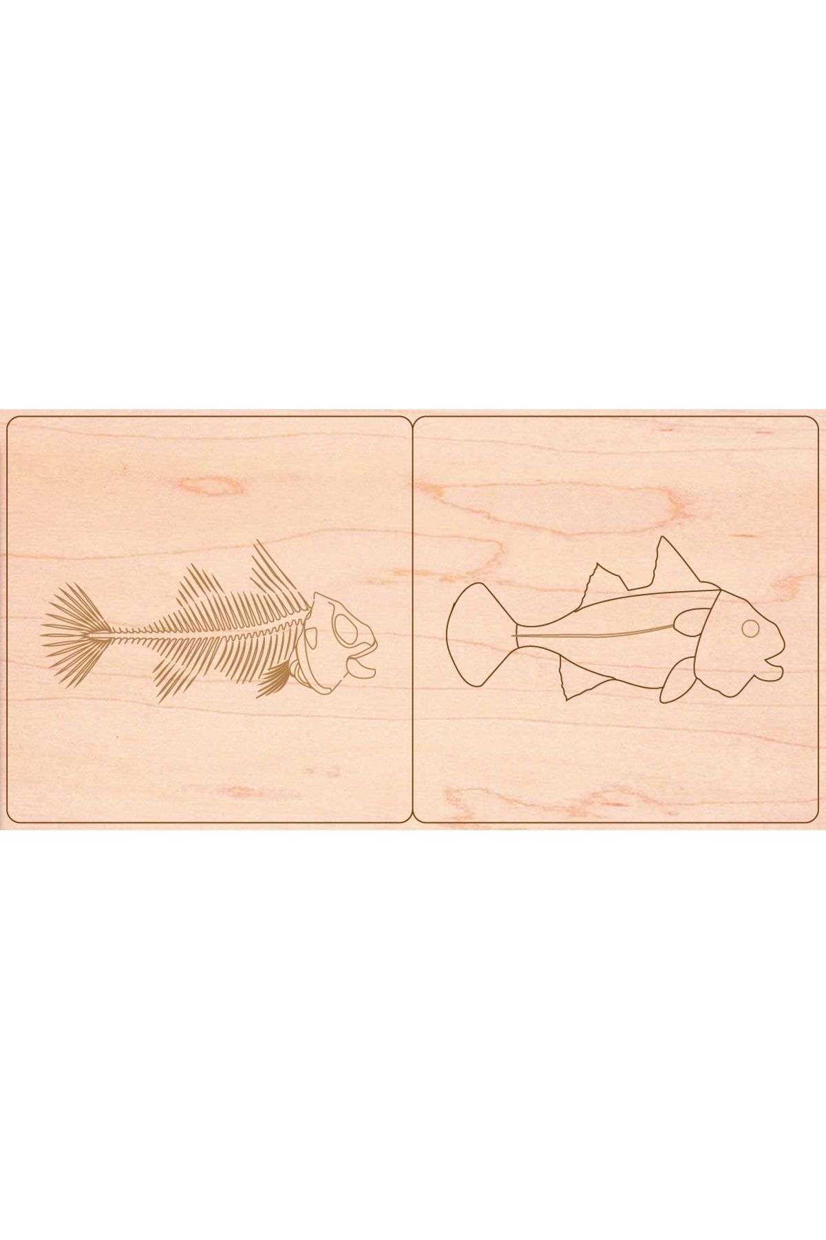 Vision Craft Lazer kesimi için balık zooloji hayvan bulmaca montessori